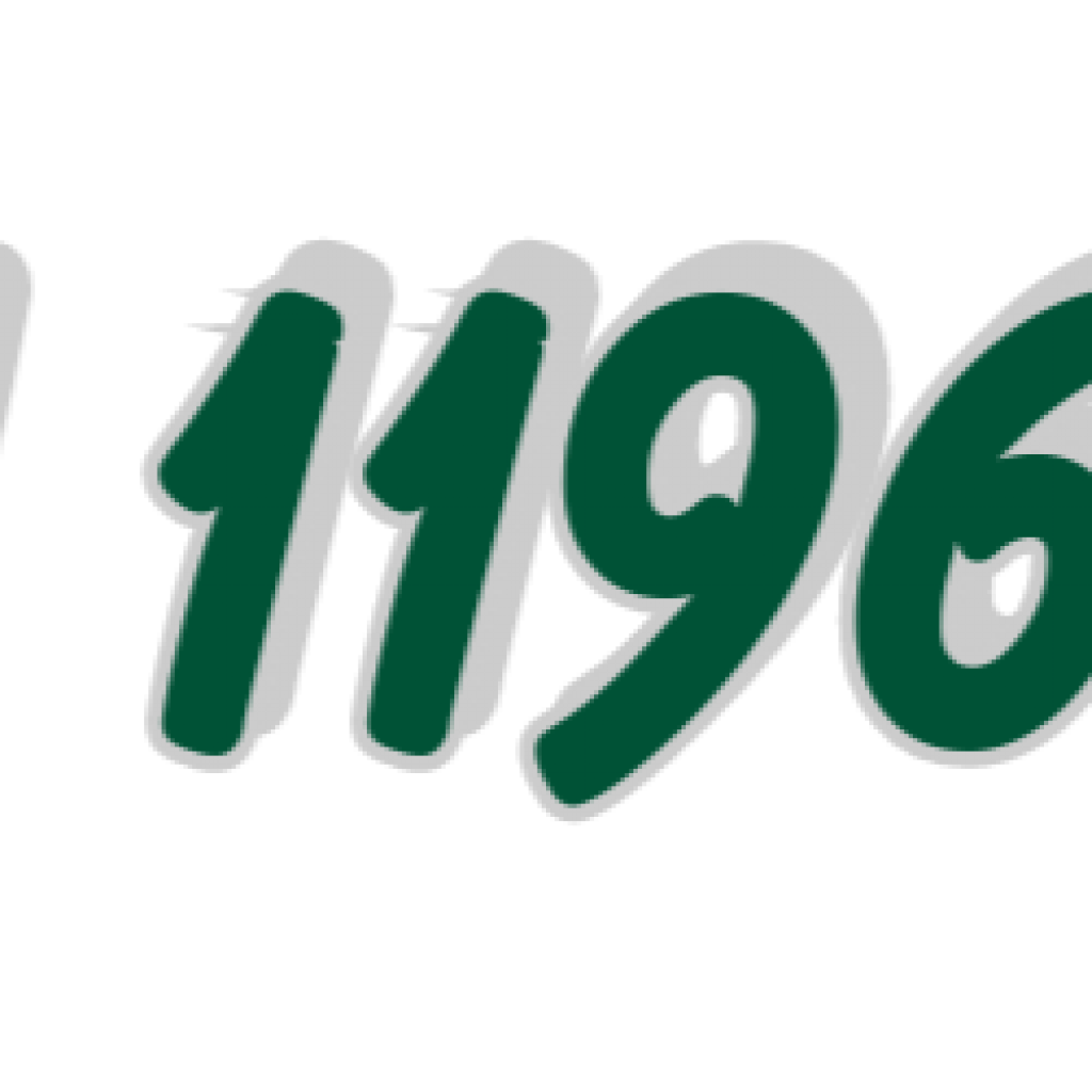 NH 1196 BI