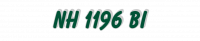 NH 1196 BI