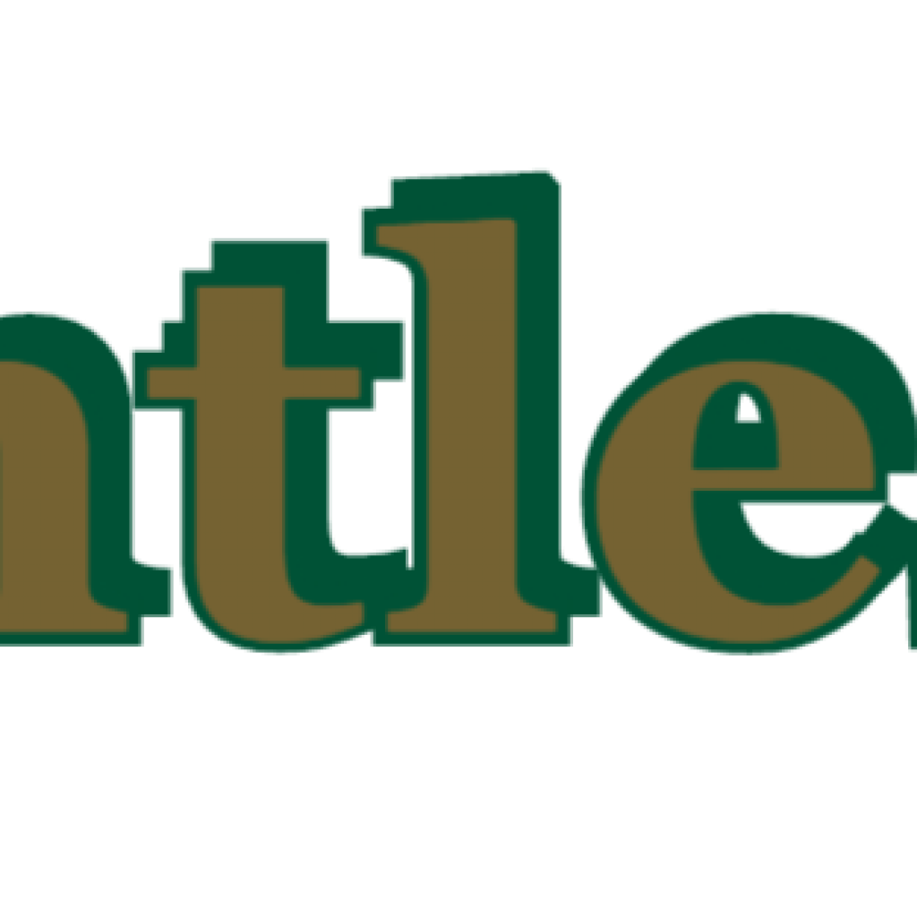Relentless VI