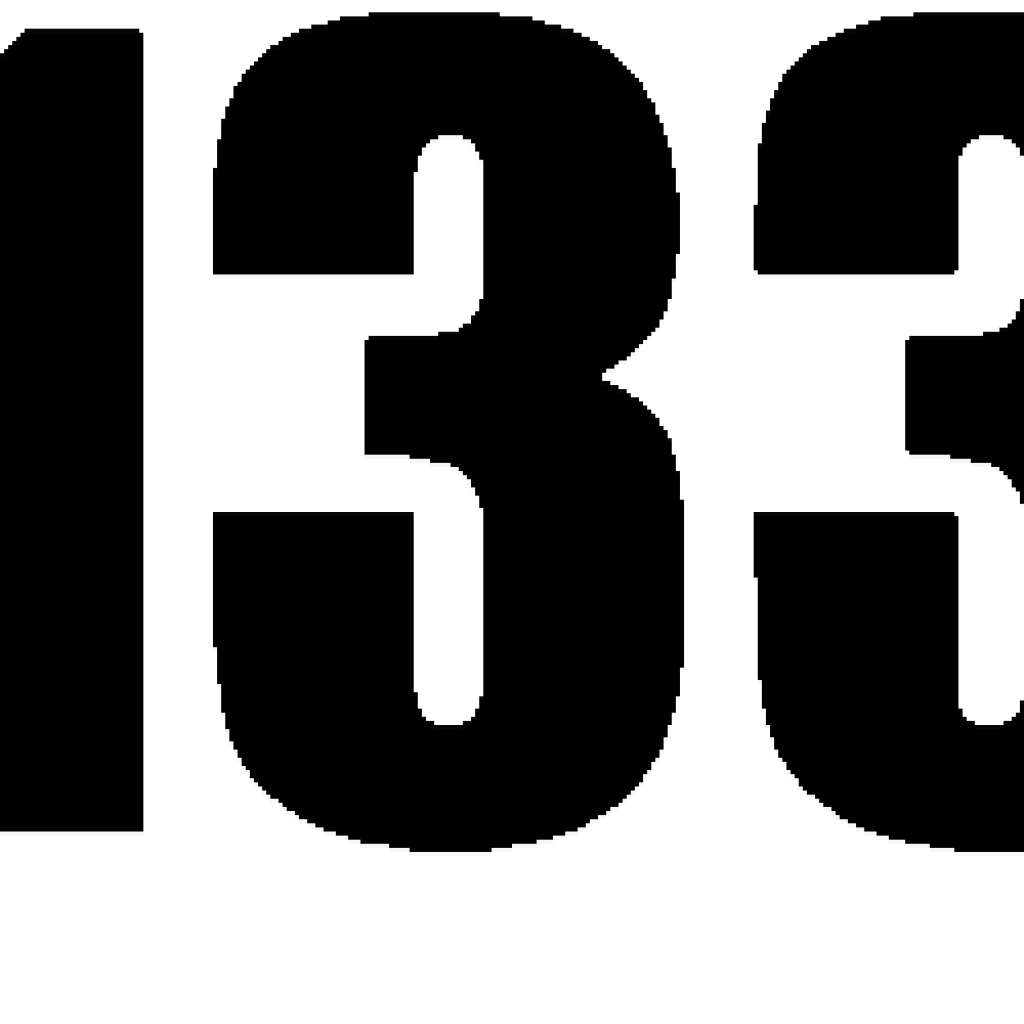 WS 1332TA