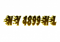 NY 4899HL