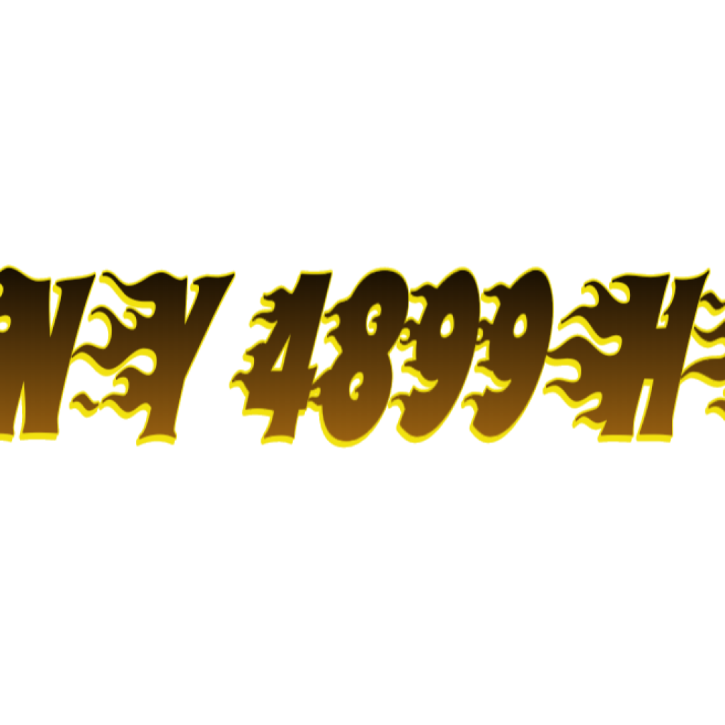 NY 4899HL
