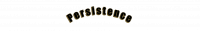 Persistence