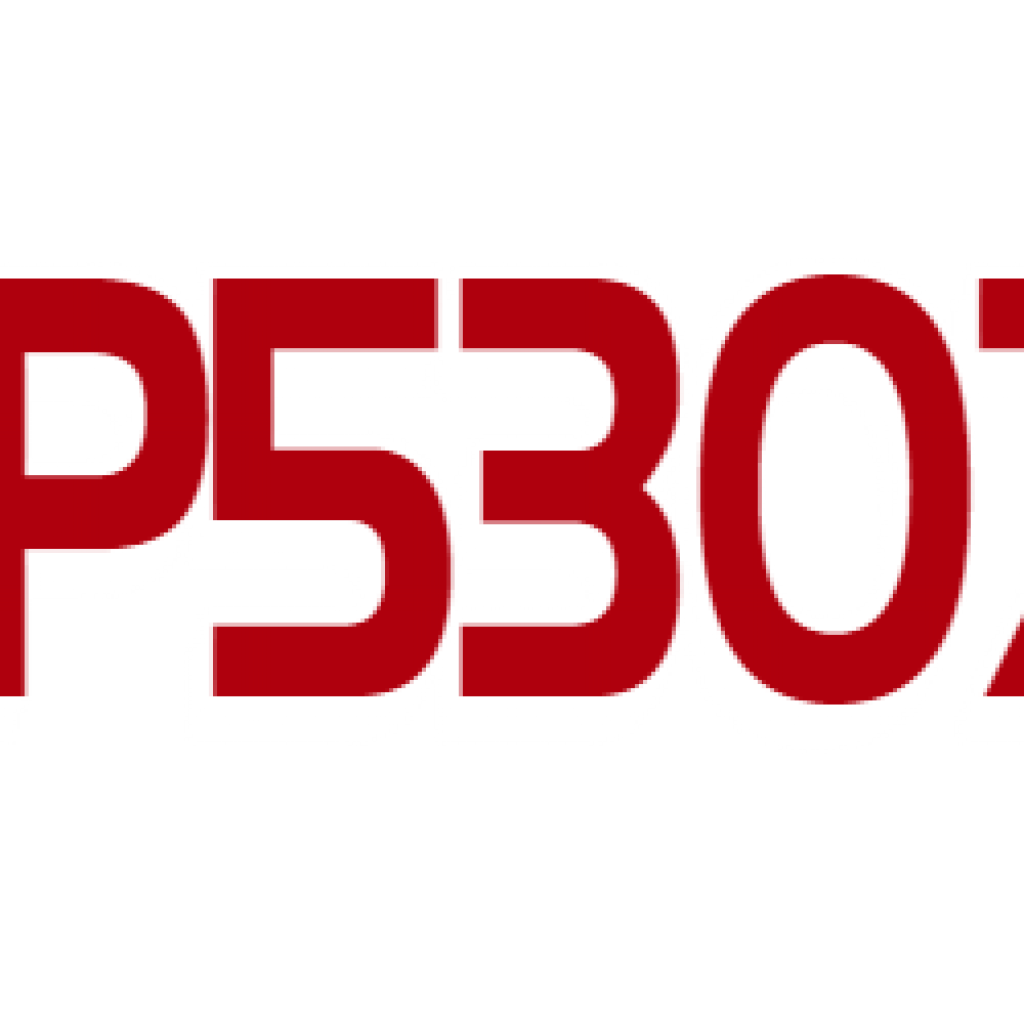 LP5307