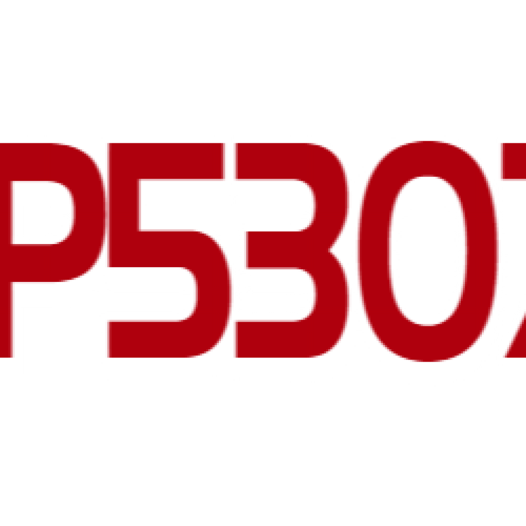 LP5307