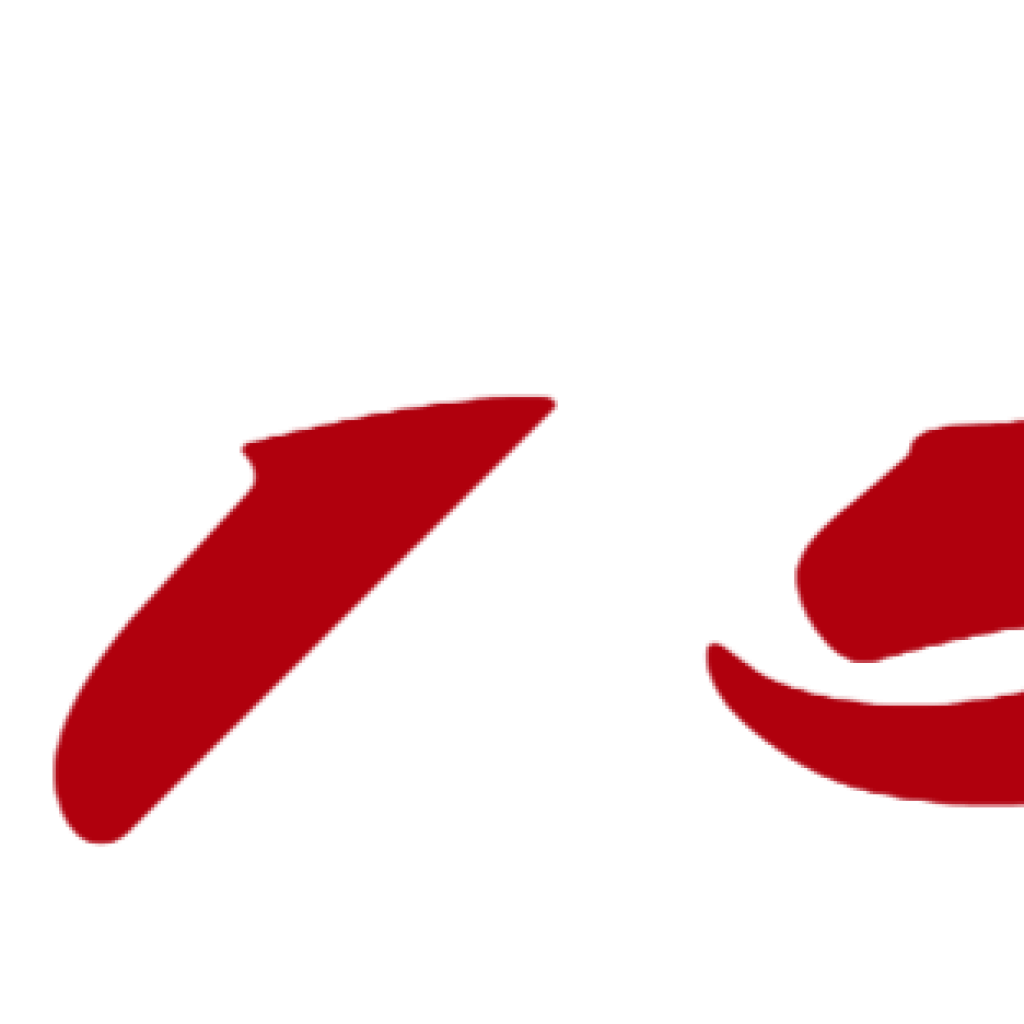 CS1593
