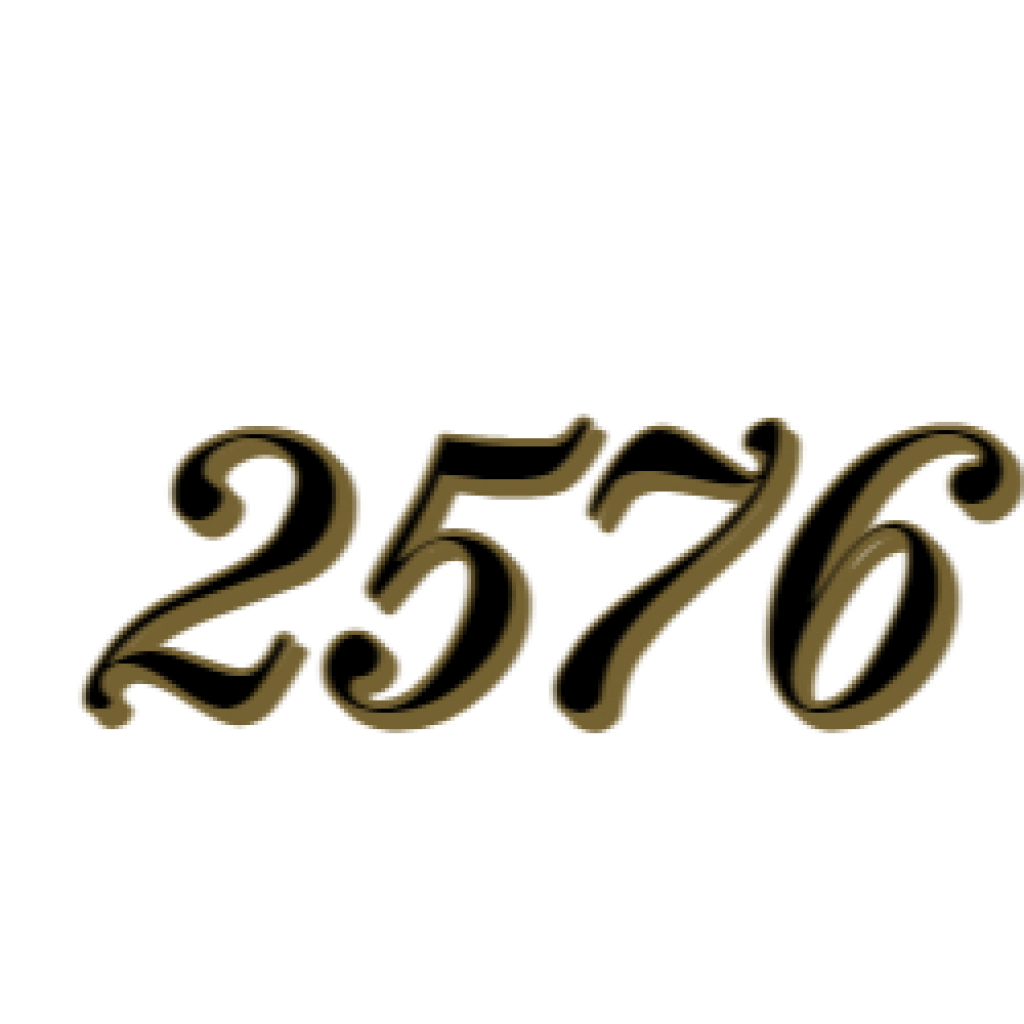 2576