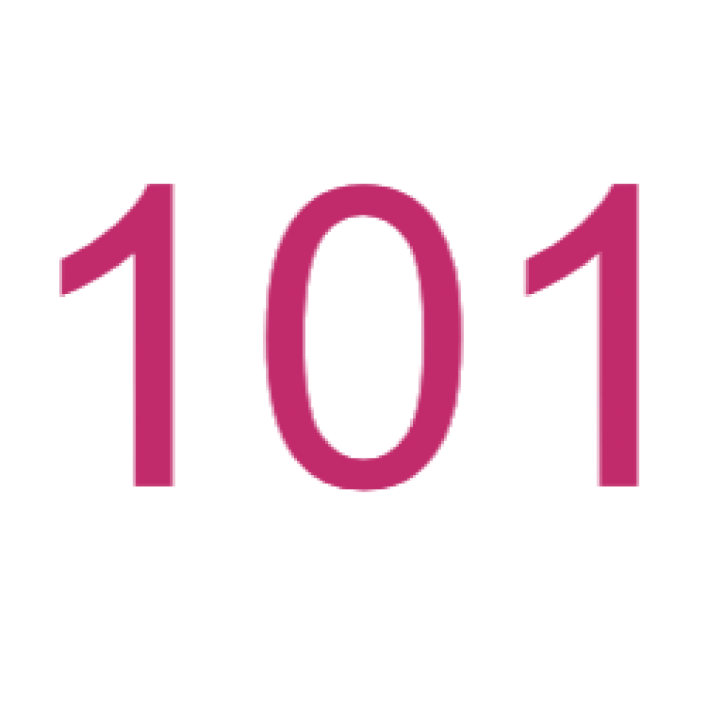 N101A