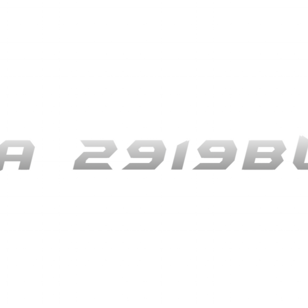 IA 2919BU