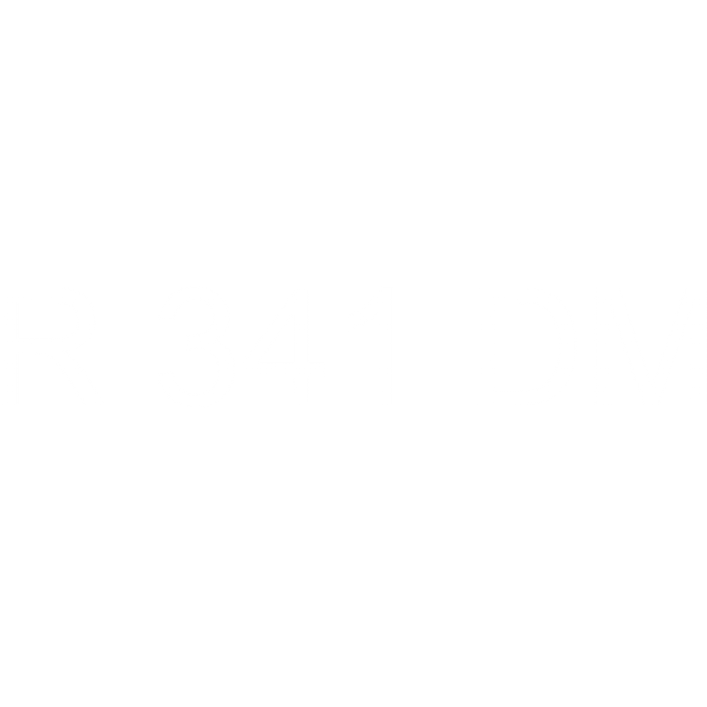 AR 341 DMX