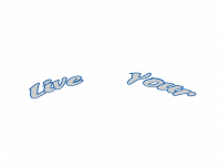 Live Your