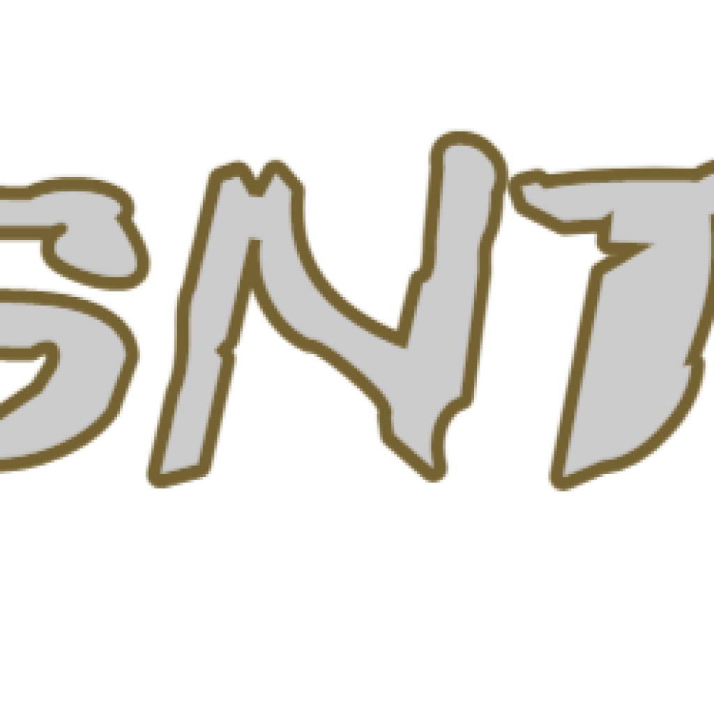 NJ  SNT21035