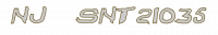 NJ  SNT21035