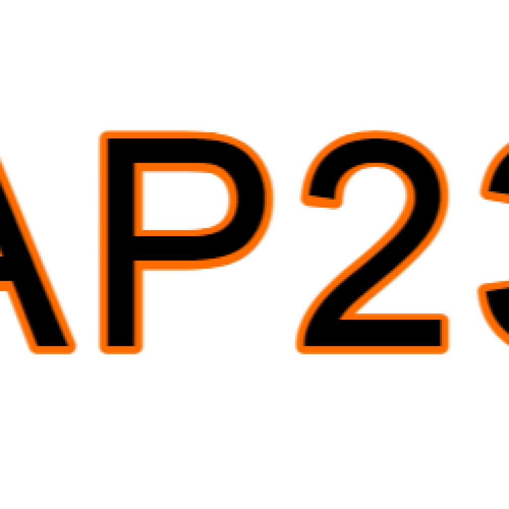 1AP234