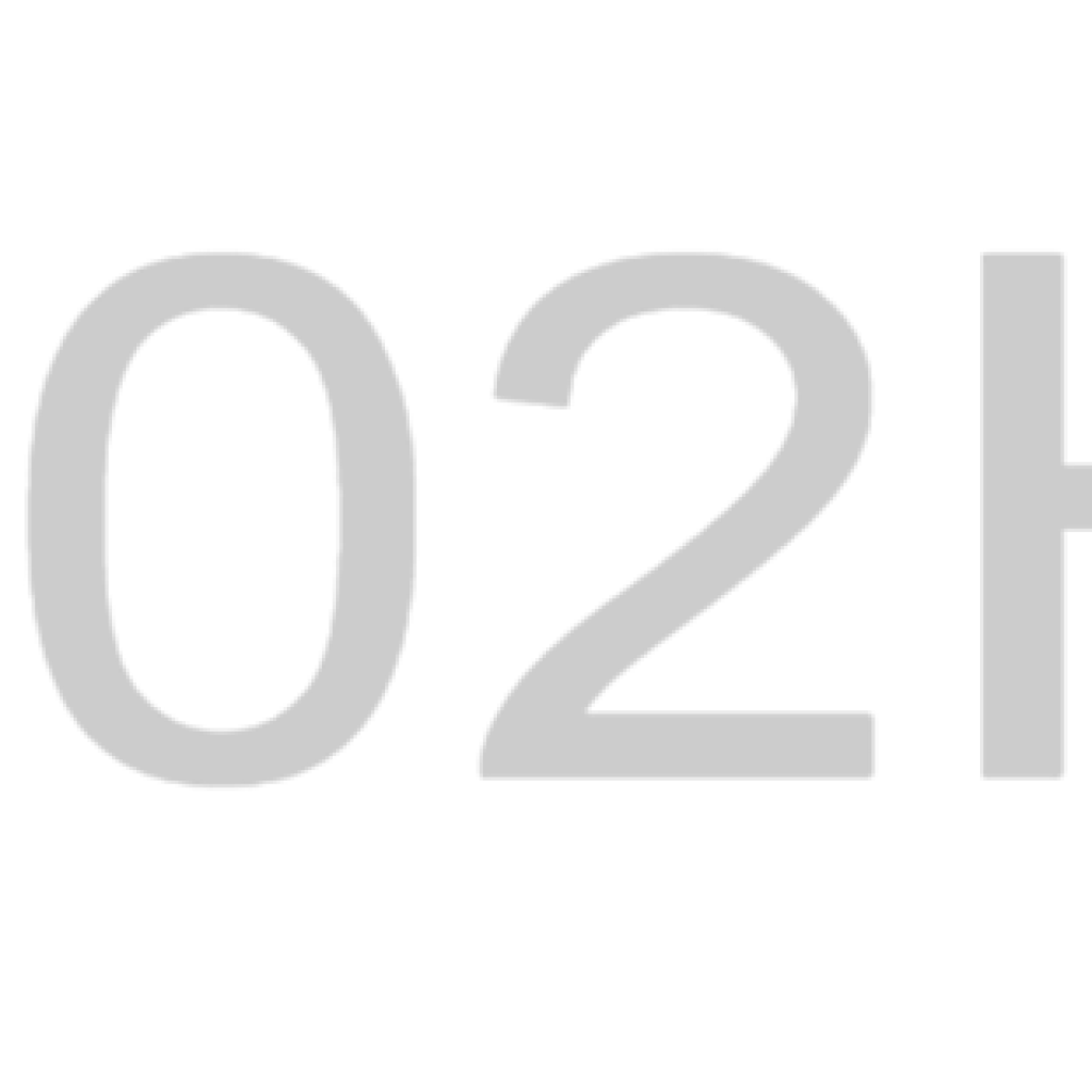 N302HG