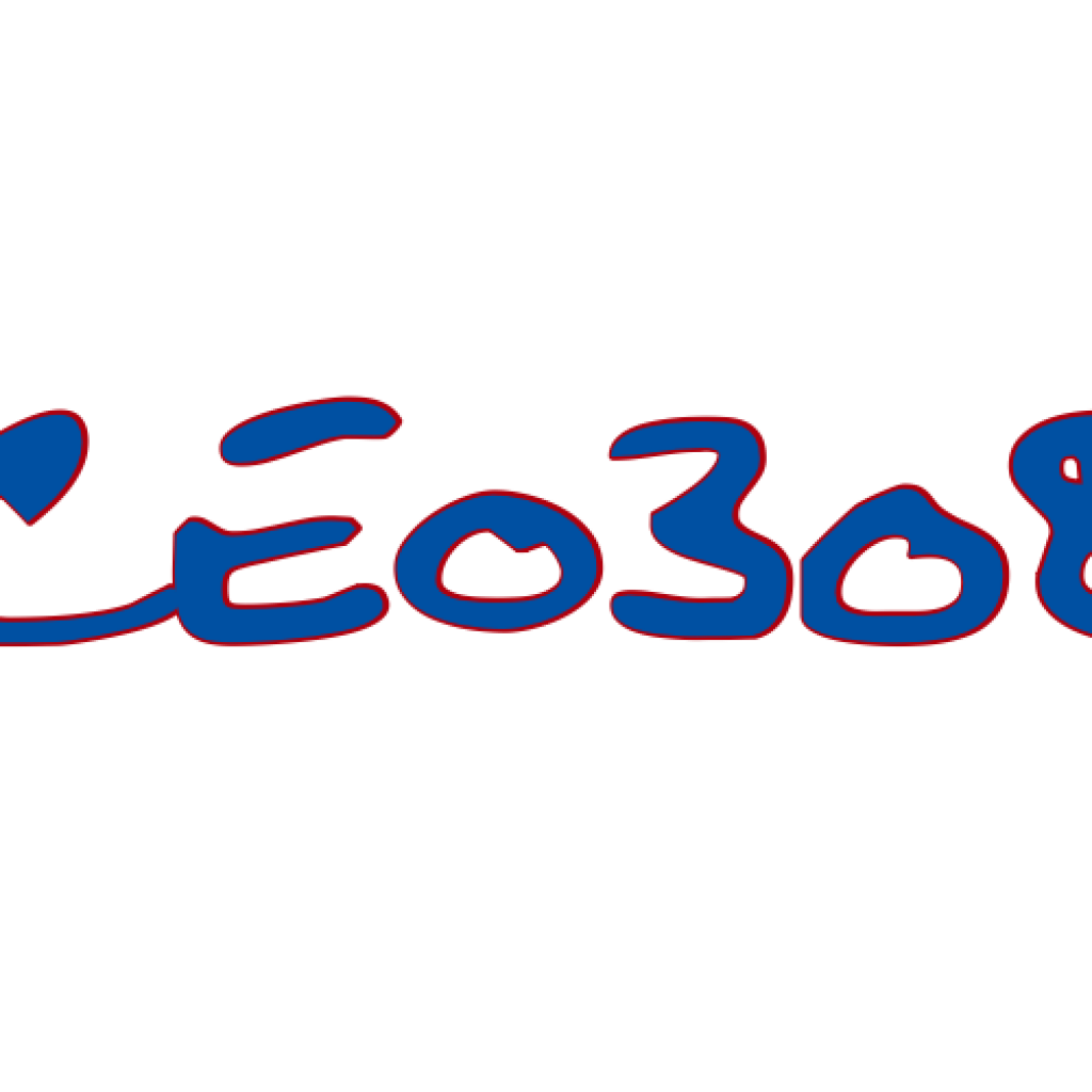 CEO308