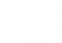 CEO308