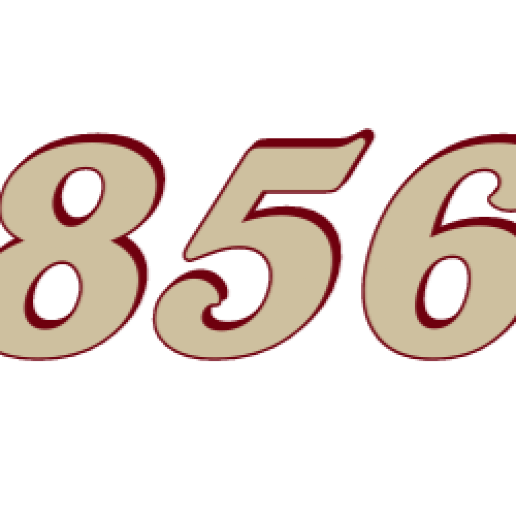 6856N