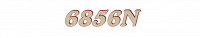 6856N