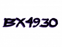 BX4930