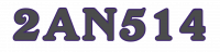 2AN514