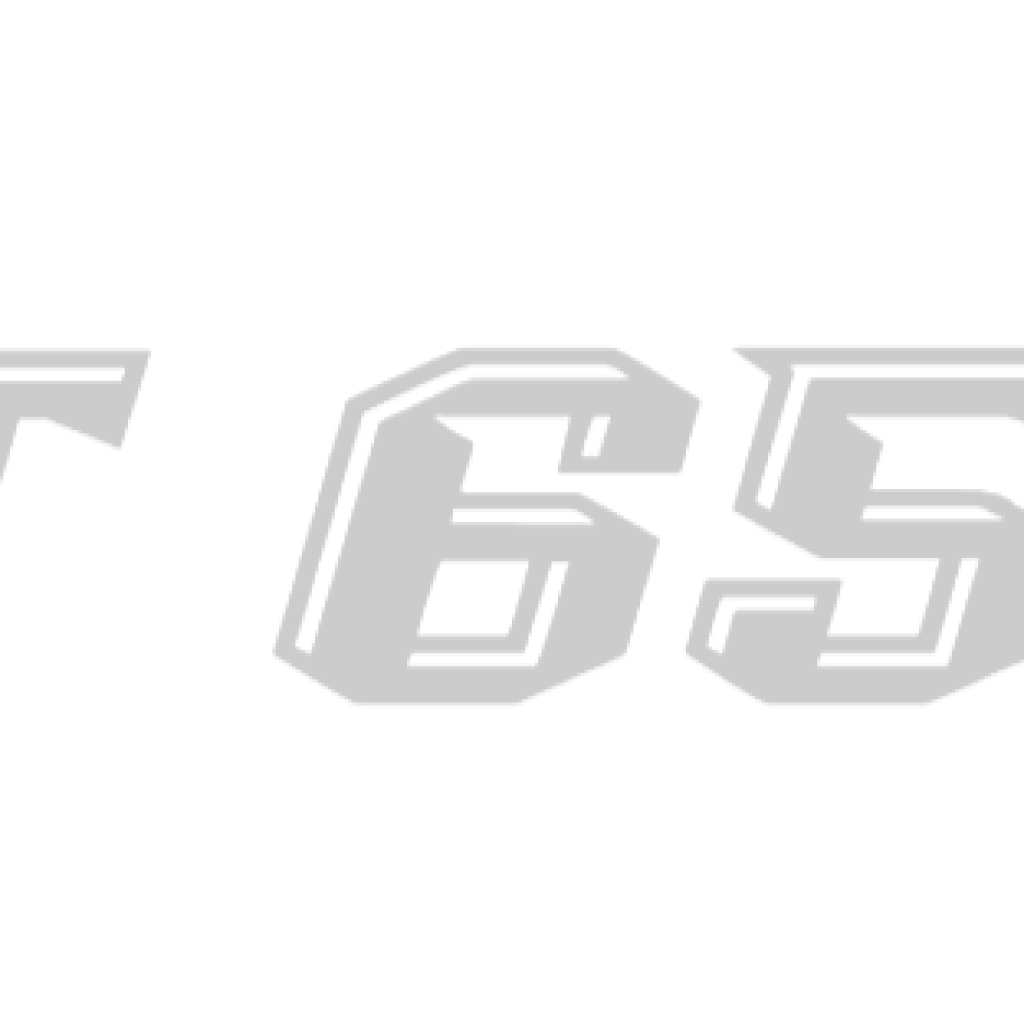 TT 6518