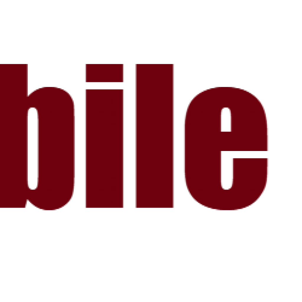 Snow Mobile Numbers