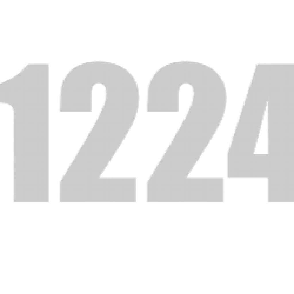 WS 1224 B G