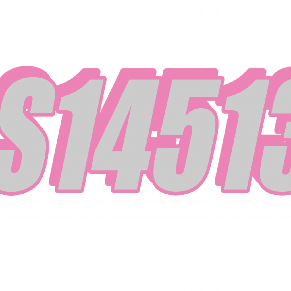 S14513