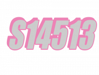 S14513