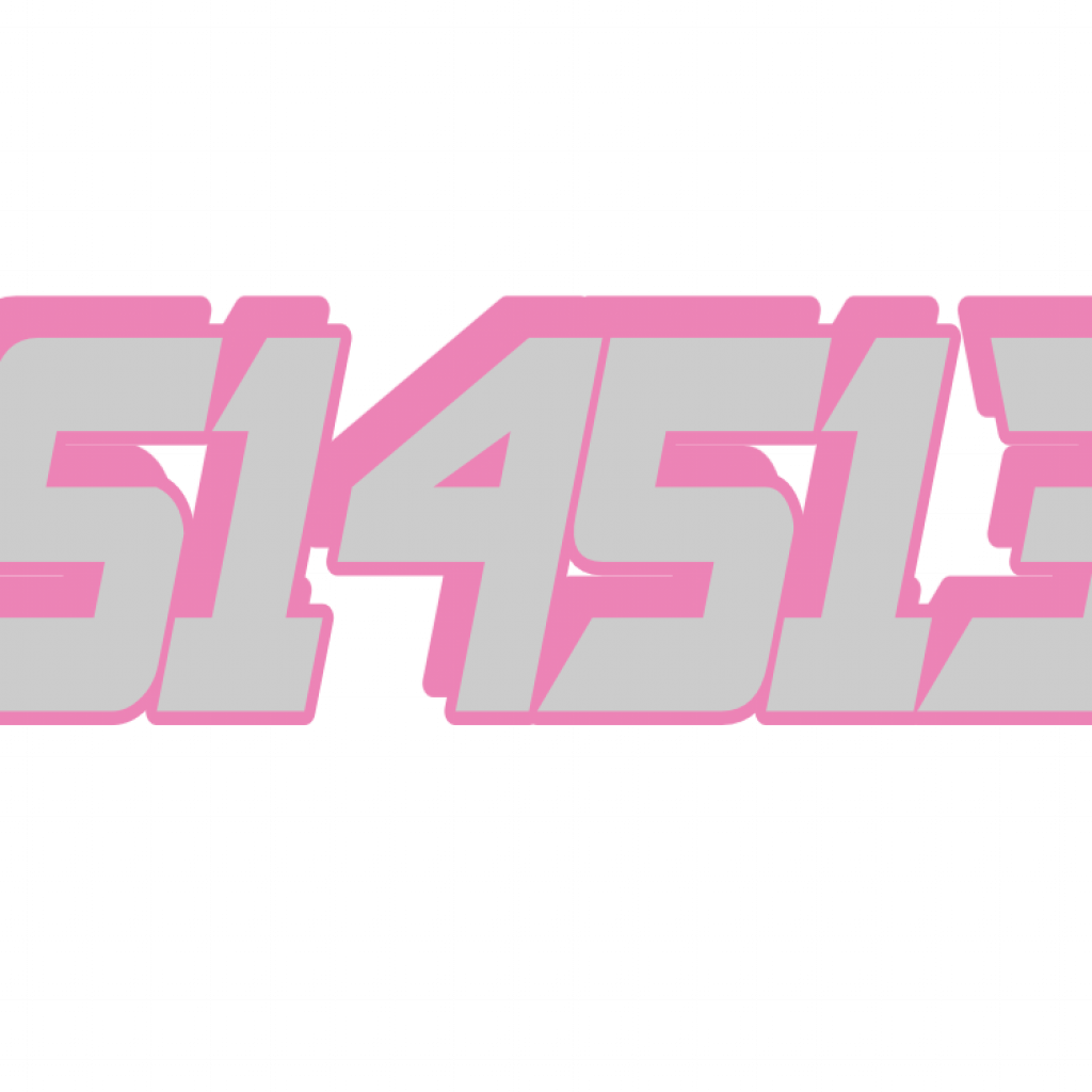 S14513