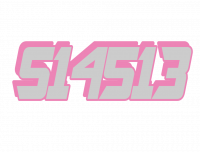 S14513