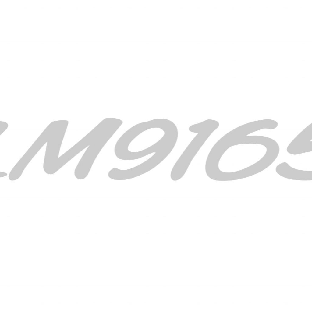 LM9165