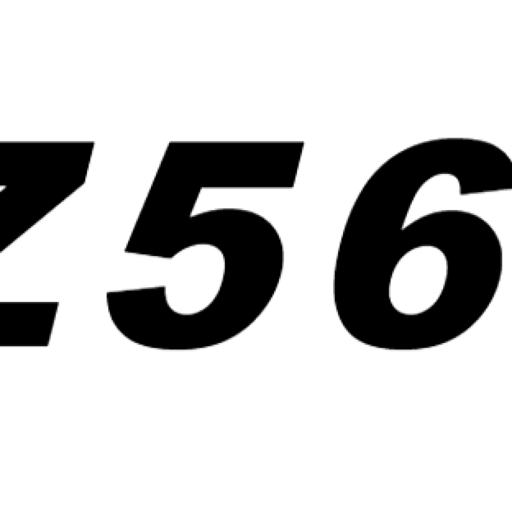 HZ5619