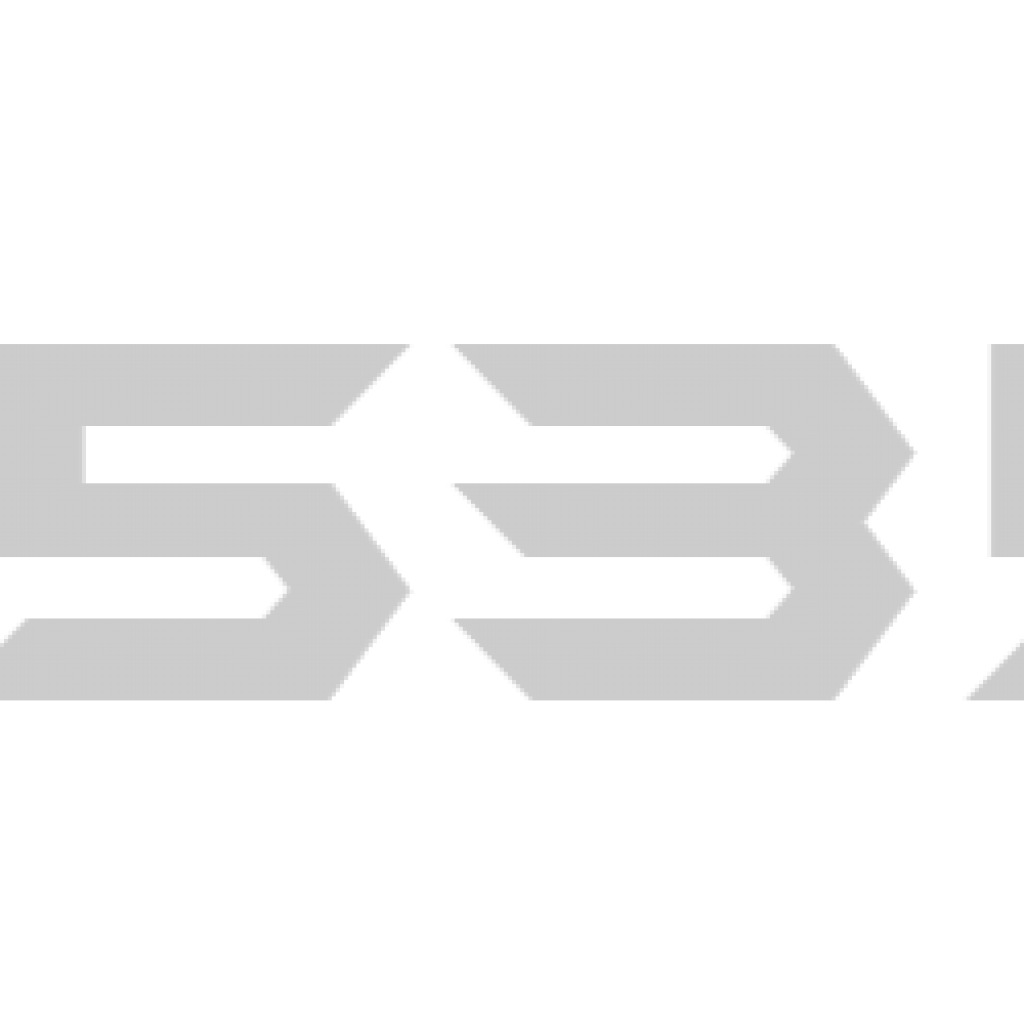 LS5356