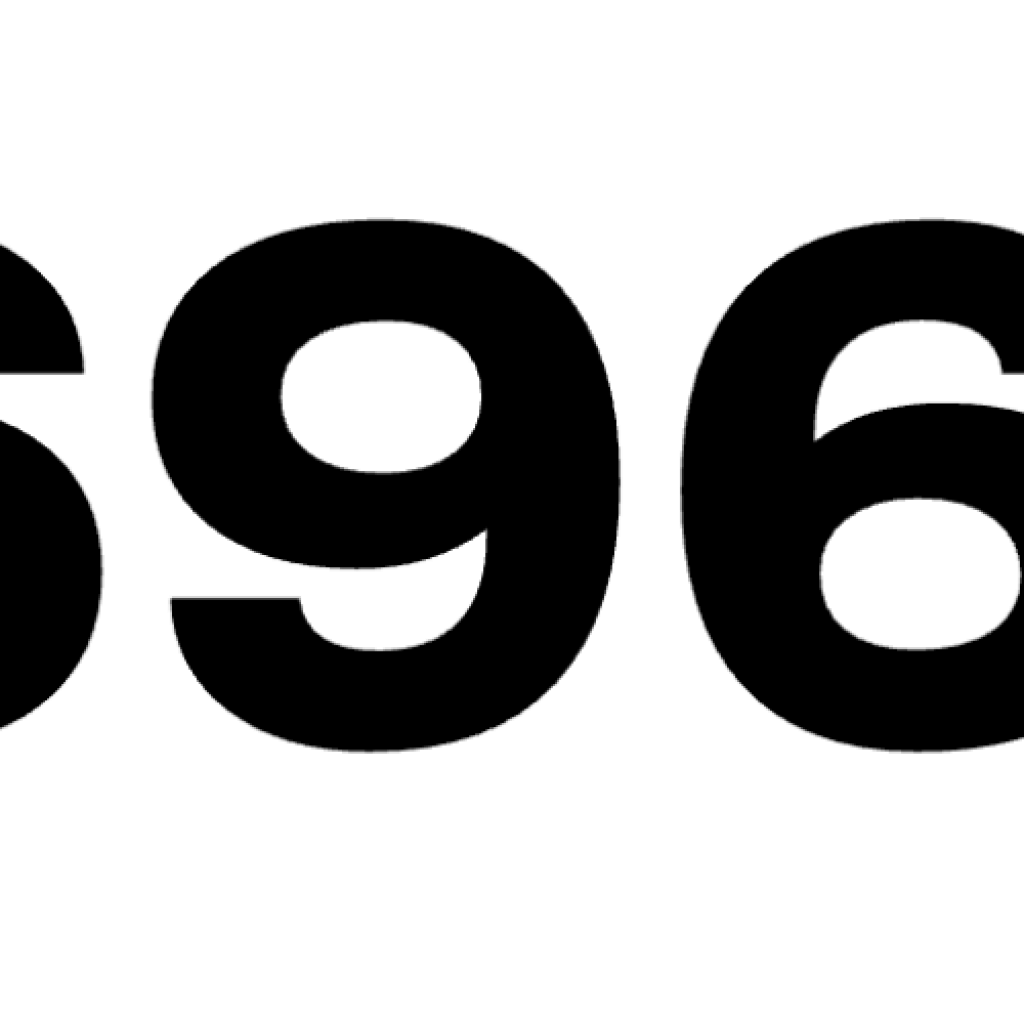 MS 6960 BV