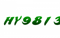 HY9813