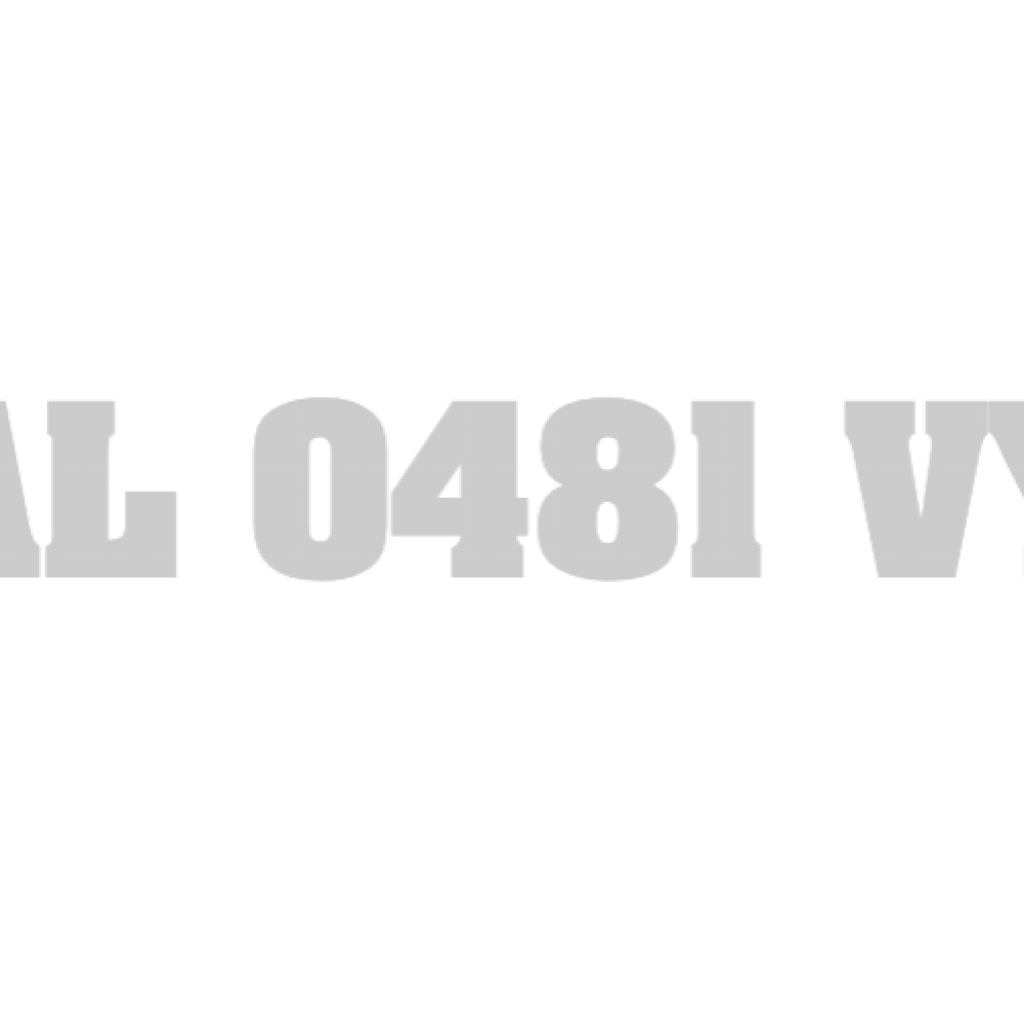 AL 0481 VY