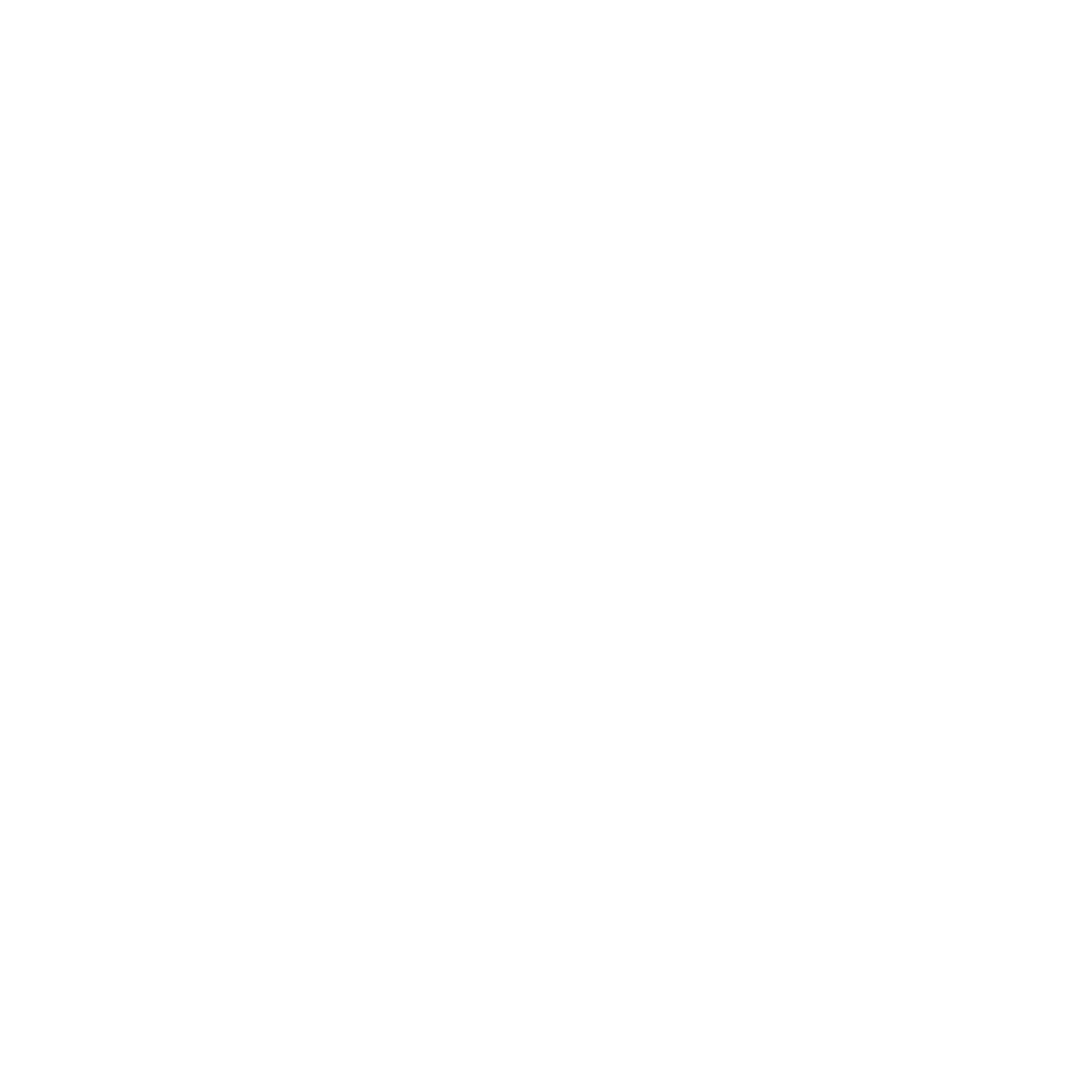 Roost Racing
