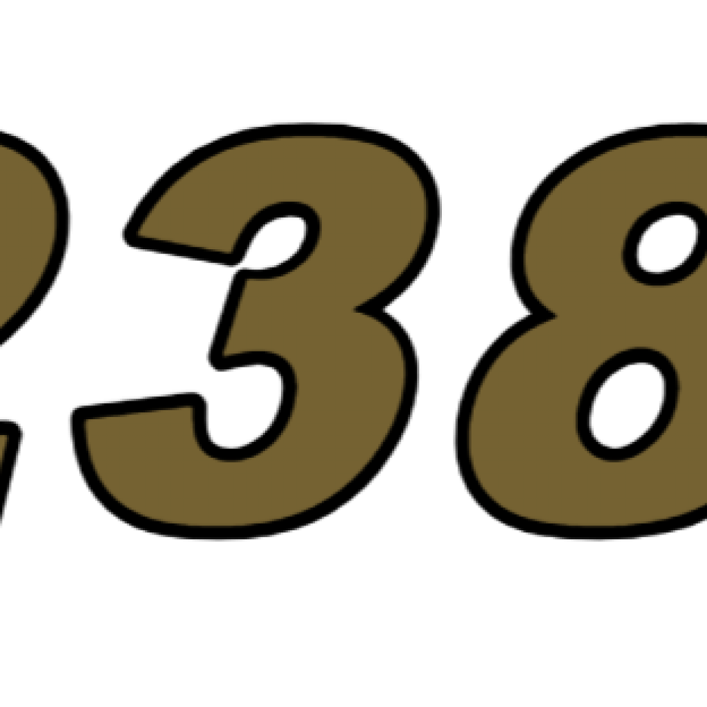 WS 2383 DV