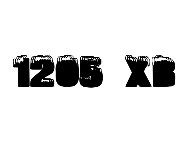 1205 XB