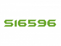 S16596
