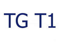 TG T1