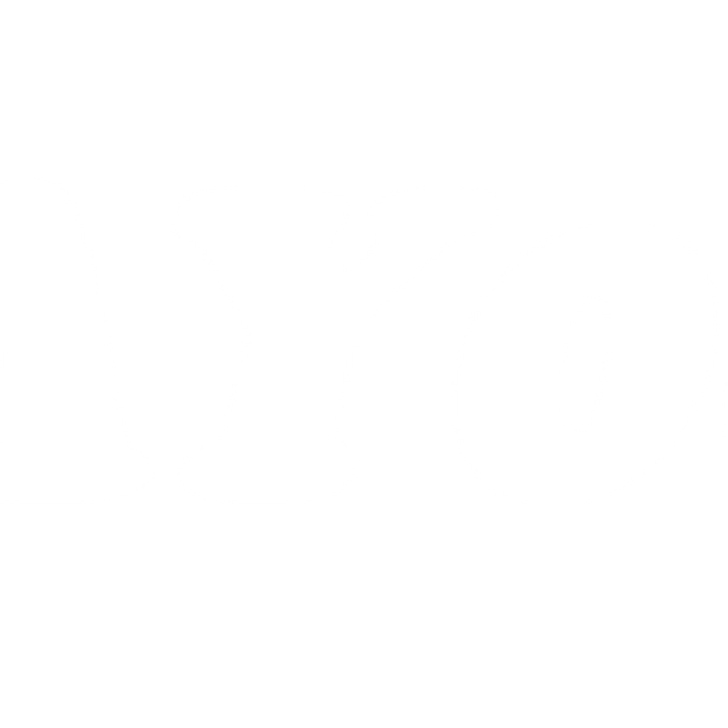 2AY065