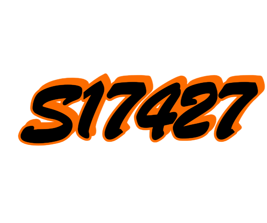 S17427