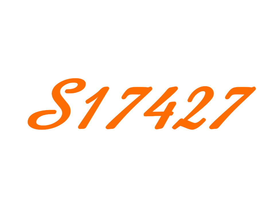 S17427