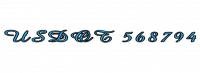 USDOT 568794
